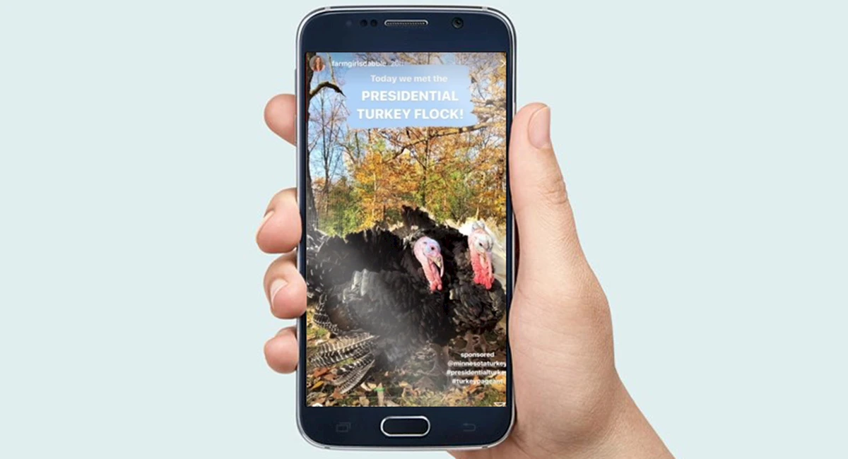 minnesotaturkey-2-slideshow-1200x650-recovered