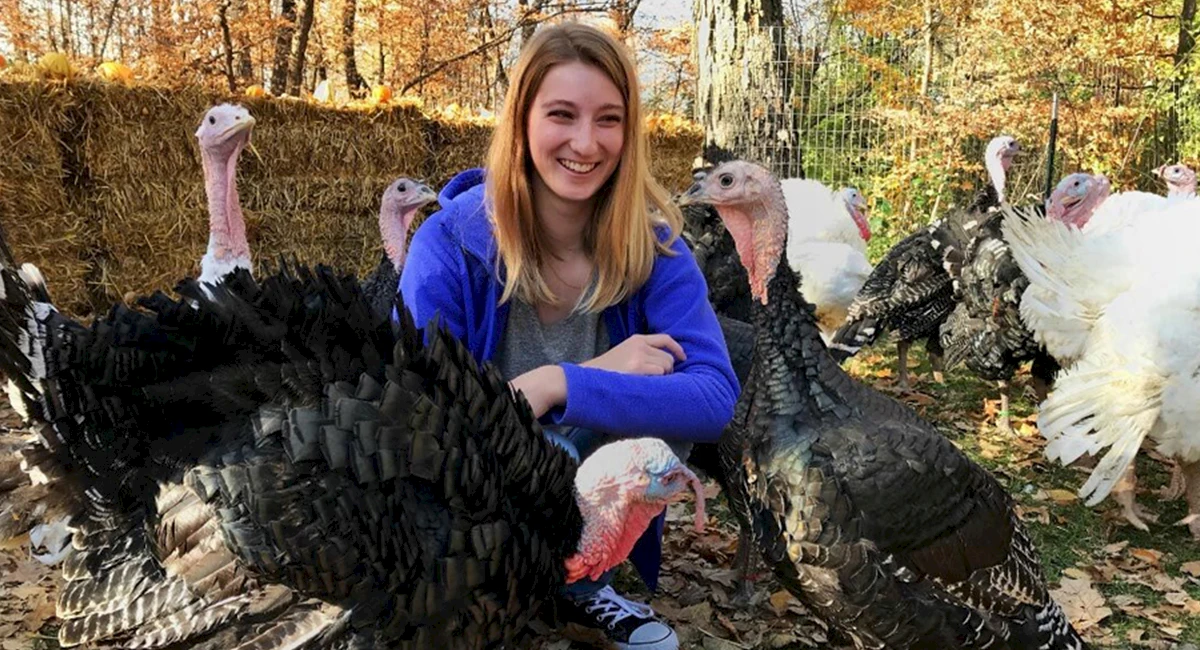 minnesotaturkey-3-slideshow-1200x650-recovered