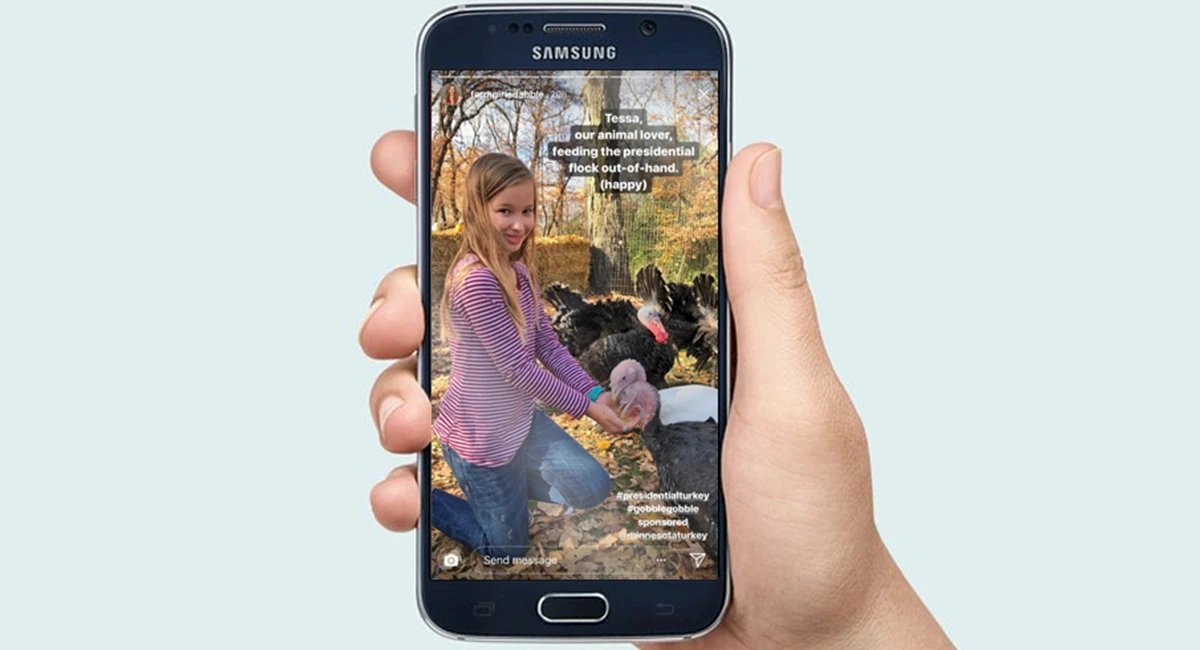 minnesotaturkey-slideshow-1200x650-recovered