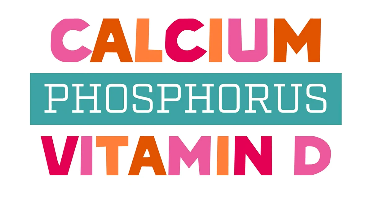 ada-dairyvideo-2-slideshow-1200x650-recovered