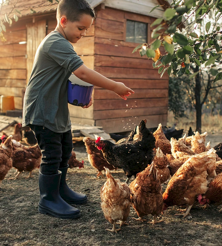 eggs101-thumbnail-720x800_copy