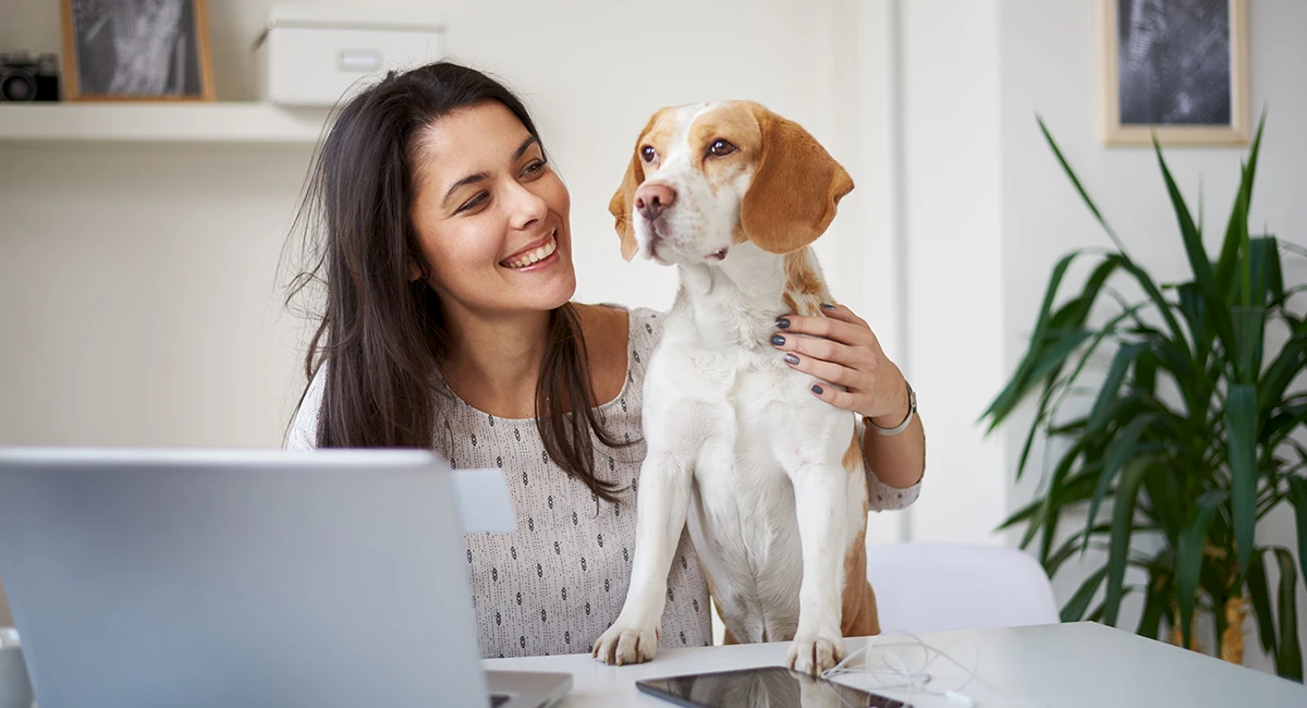 bds-slideshow-1200x650