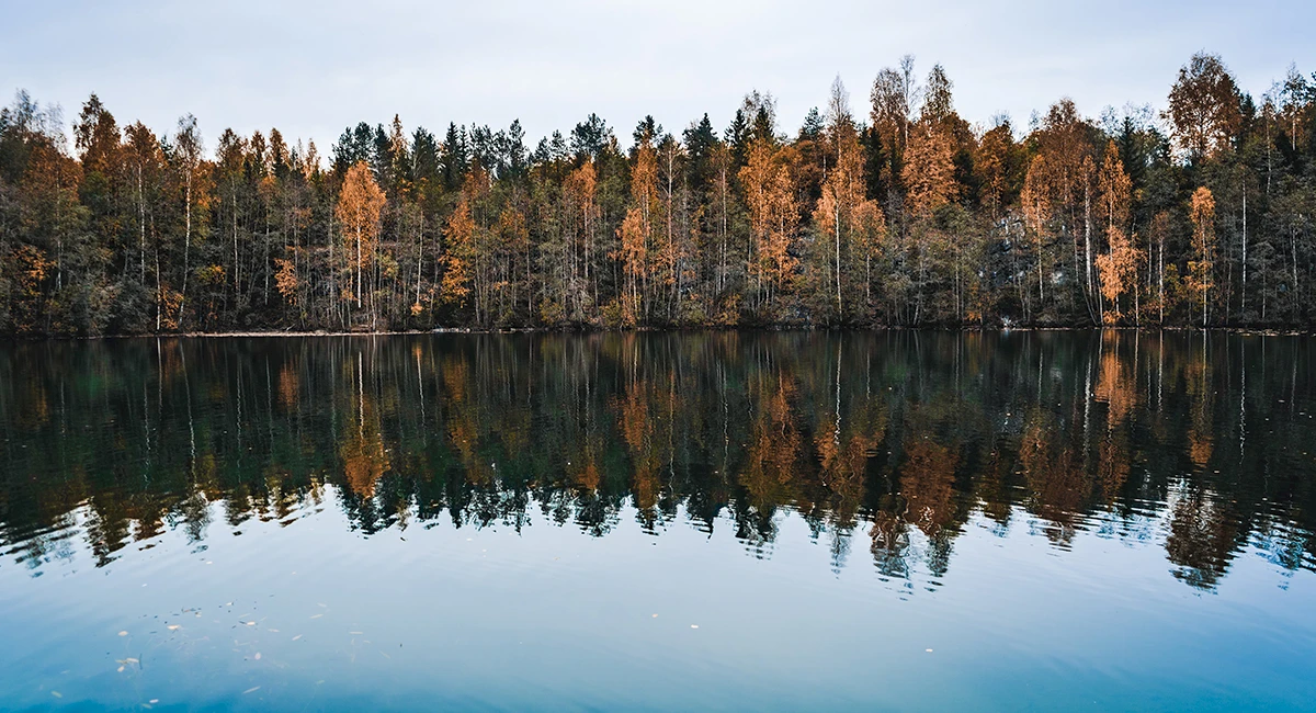 oaqda-slideshow-1200x650