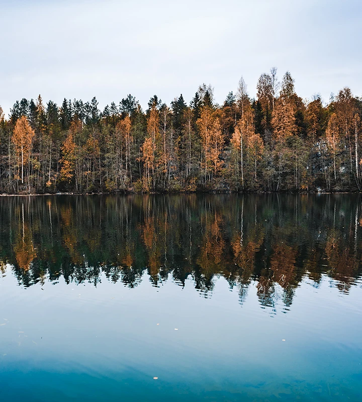 oaqda-thumbnail-720x800