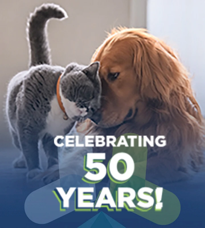 pan-fbheader-50years-square_002